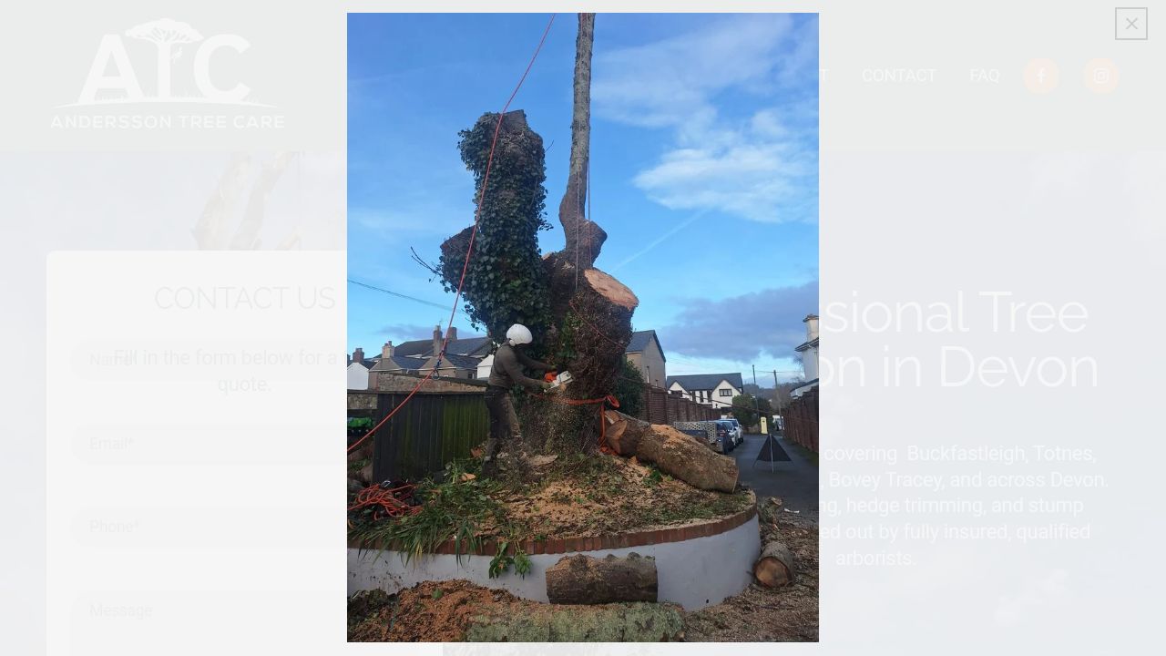 ANDERSSON TREE CARE LTD website preview