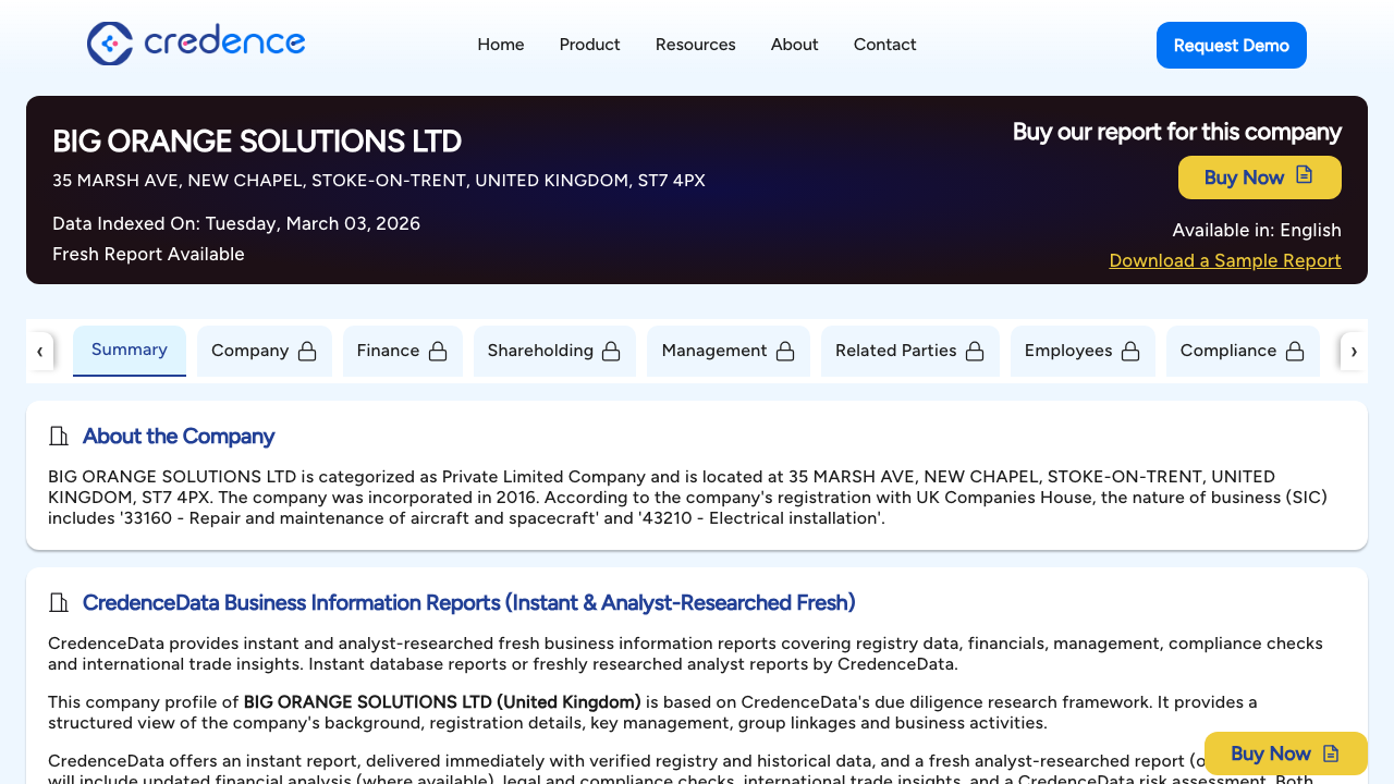 BIG ORANGE SOLUTIONS LTD website preview