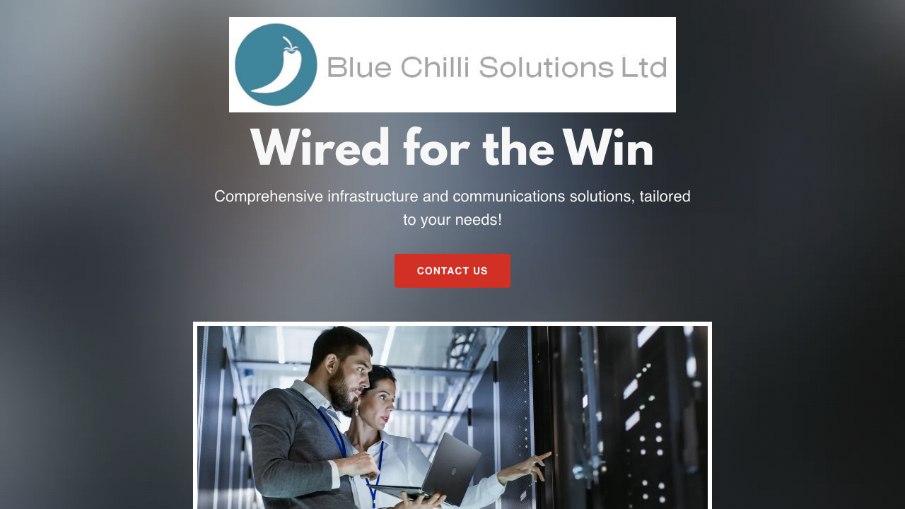 BLUE CHILLI SOLUTIONS LIMITED website preview