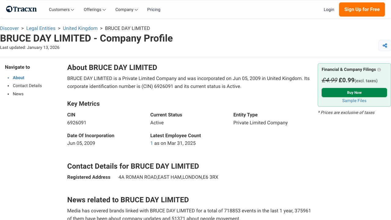 BRUCE DAY LIMITED website preview