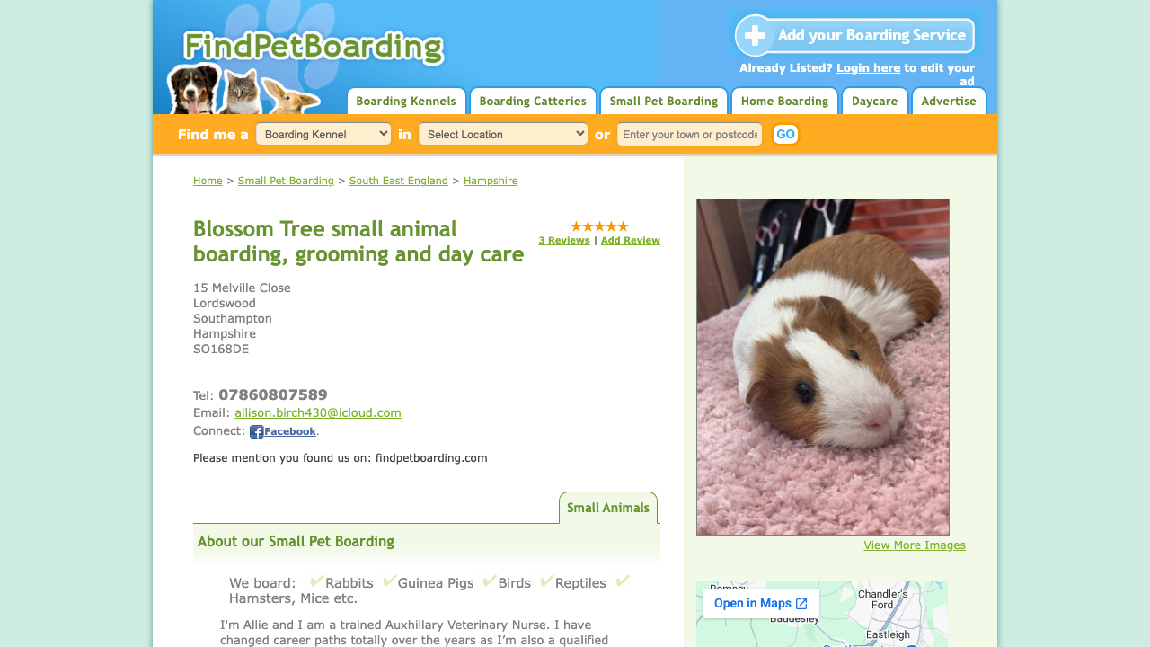 BLOSSOM TREE DOG SUPPLIES LTD website preview