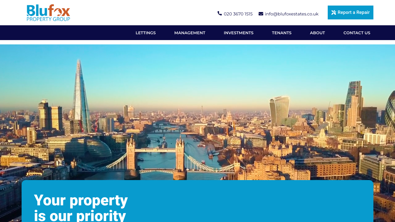 BLUE FOX INVESTMENTS LIMITED website preview