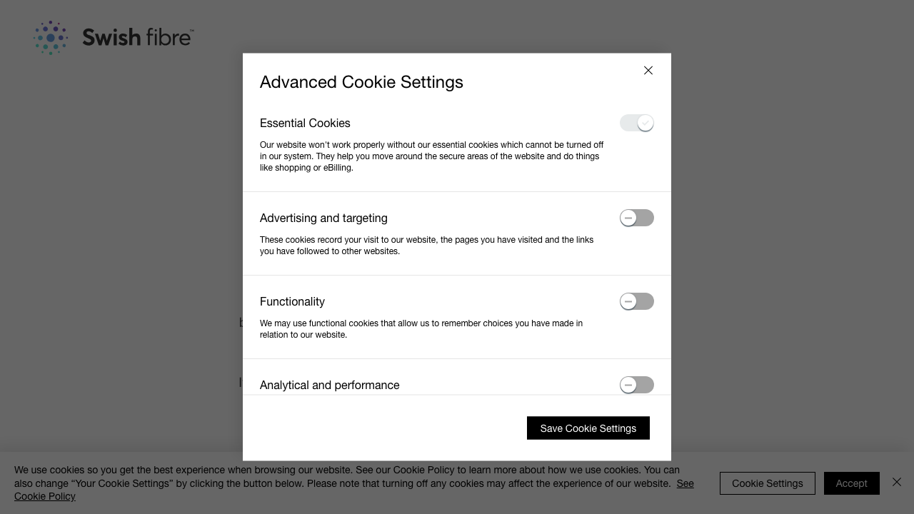 BLUE FIBRE LIMITED website preview