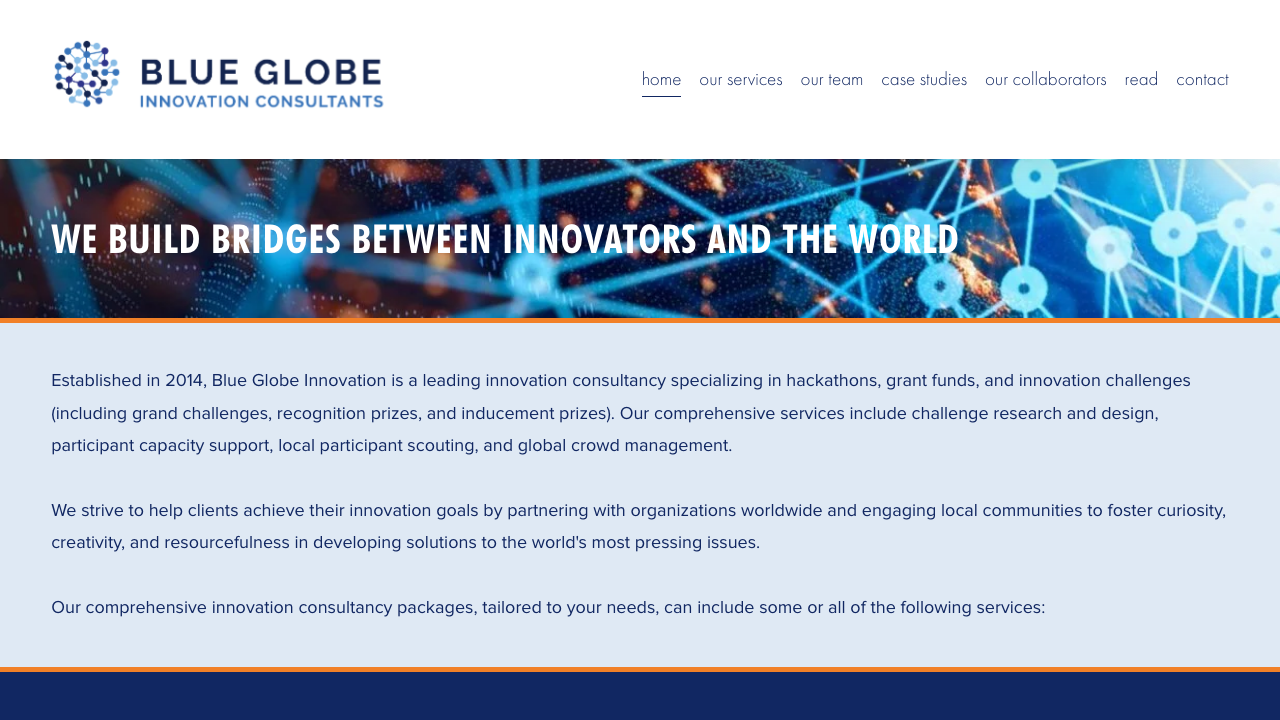 BLUE GLOBE CONSULTING LTD website preview