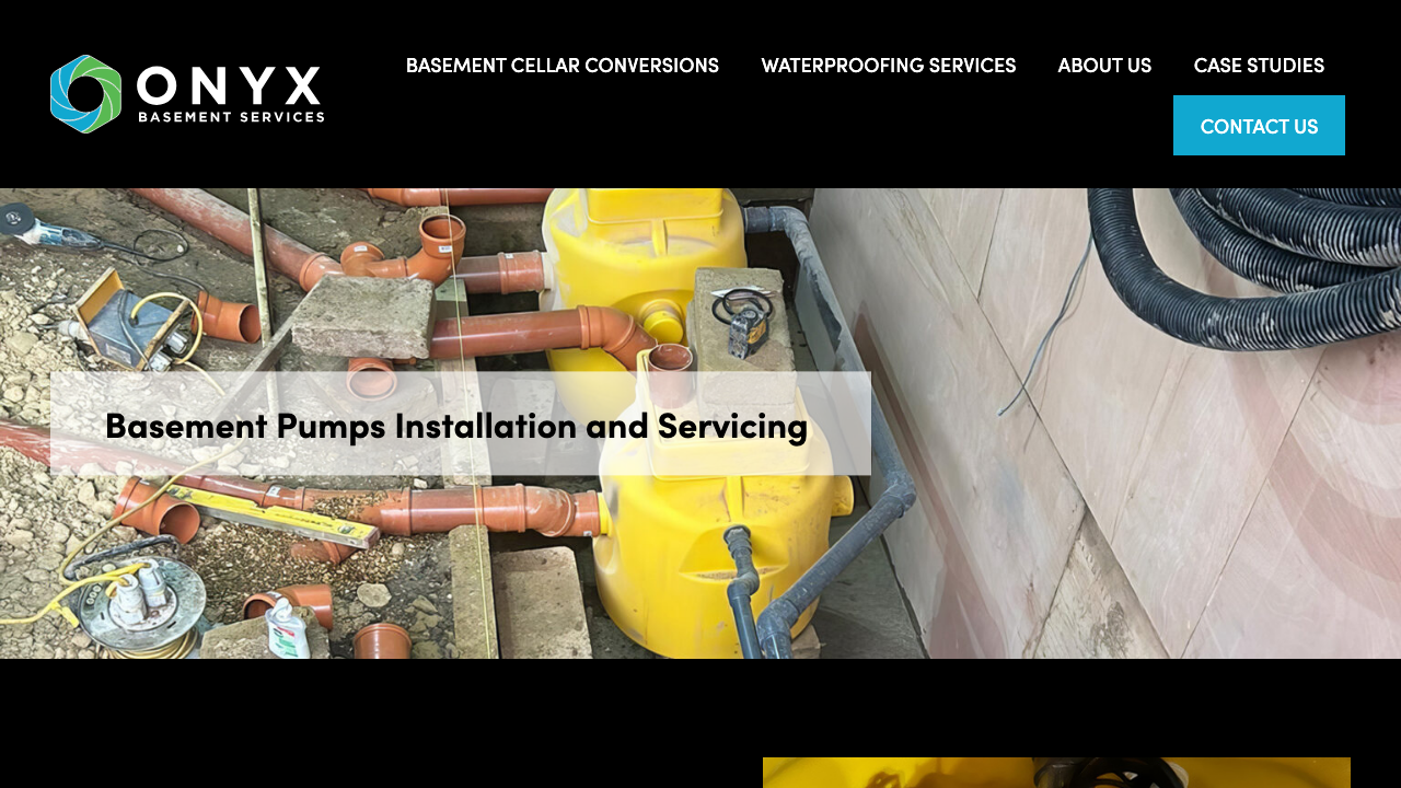 CELLAR PUMP SERVICES LIMITED website preview