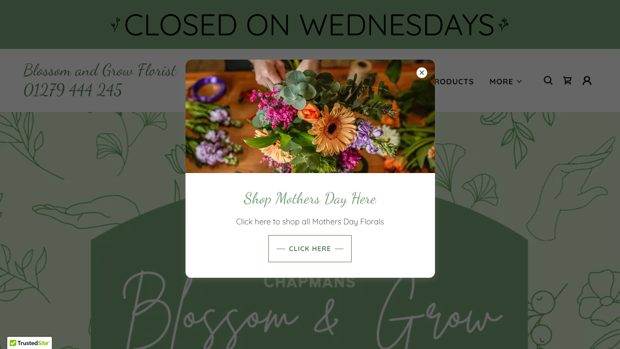 BLOSSOM AND GROW FLORIST LTD website preview