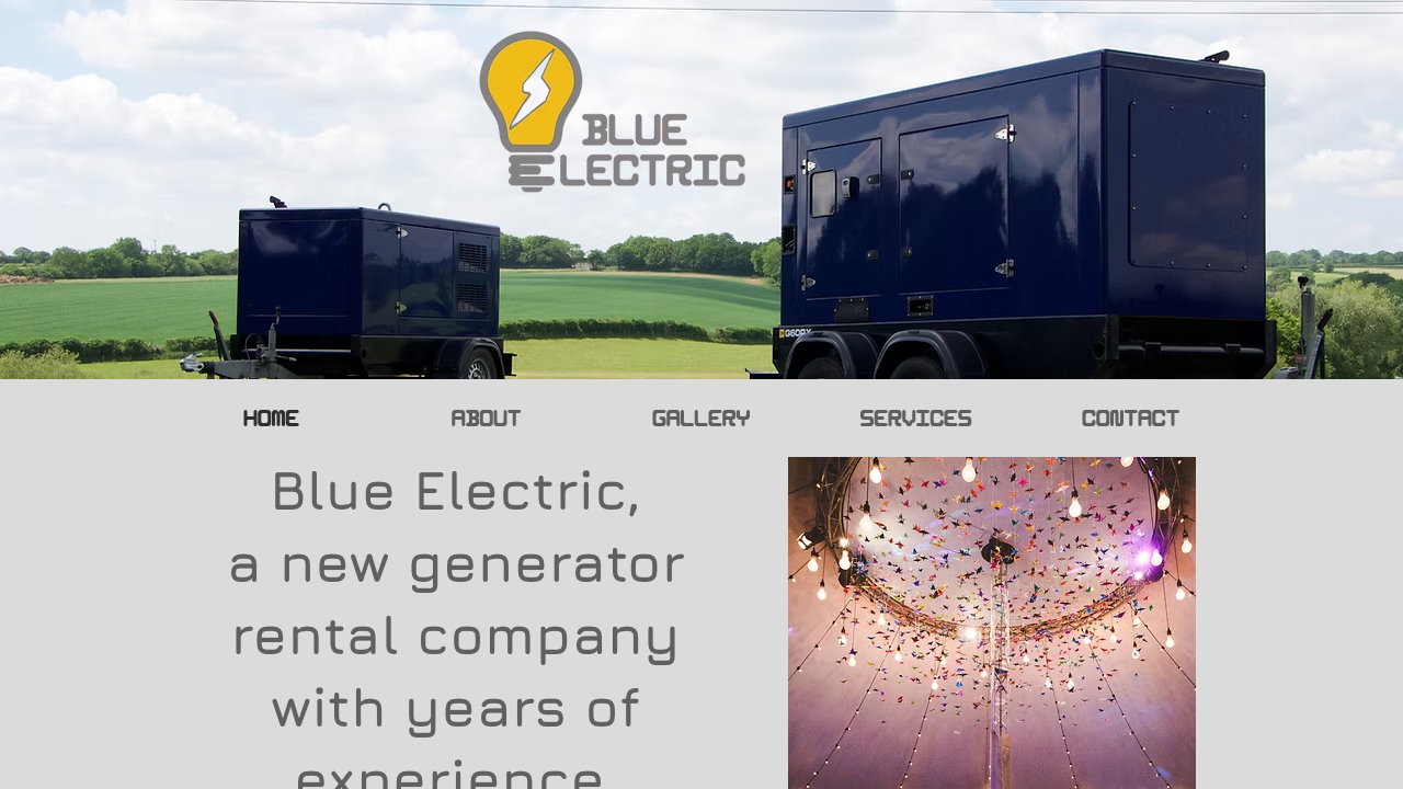 BLUE ELECTRIC LIMITED website preview