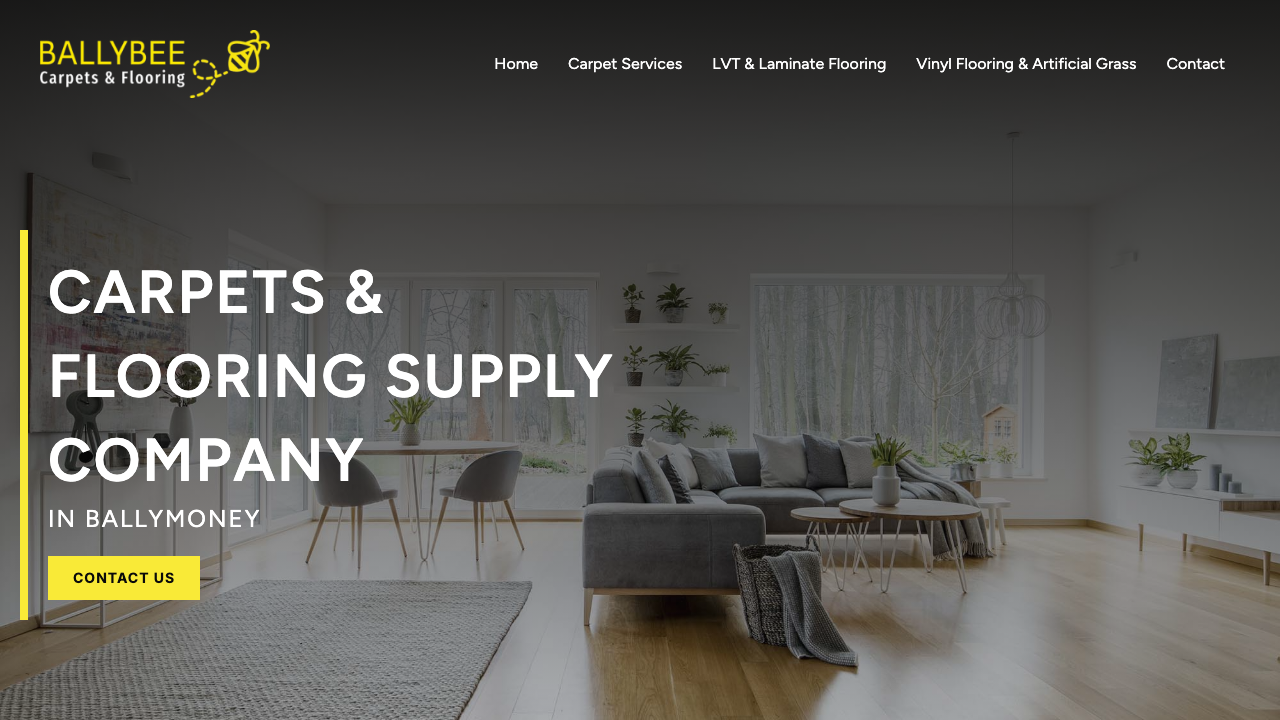 BALLYBEE LTD website preview