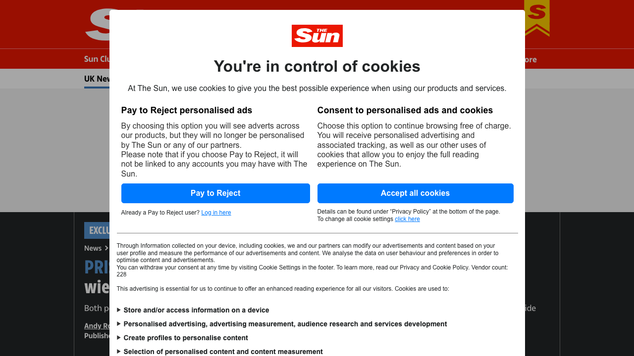 CHOMBI LTD website preview