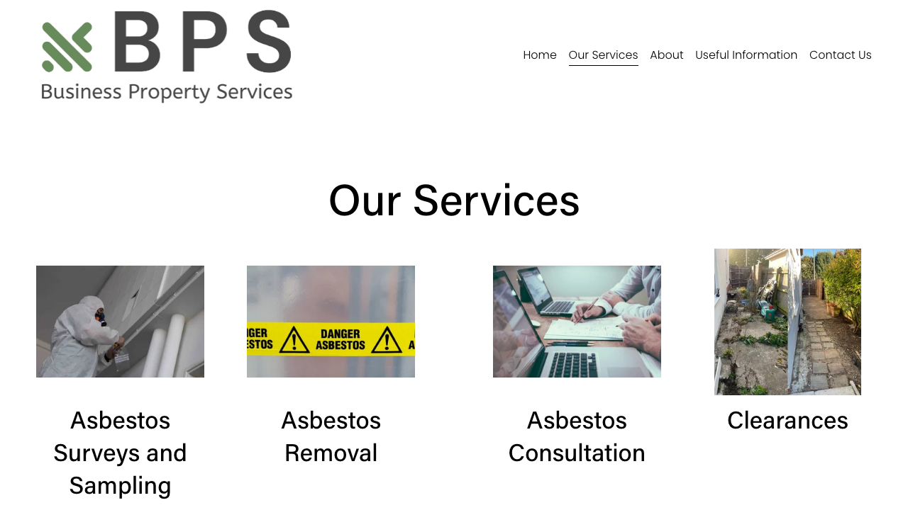 BPS PAINTING SERVICES LTD website preview