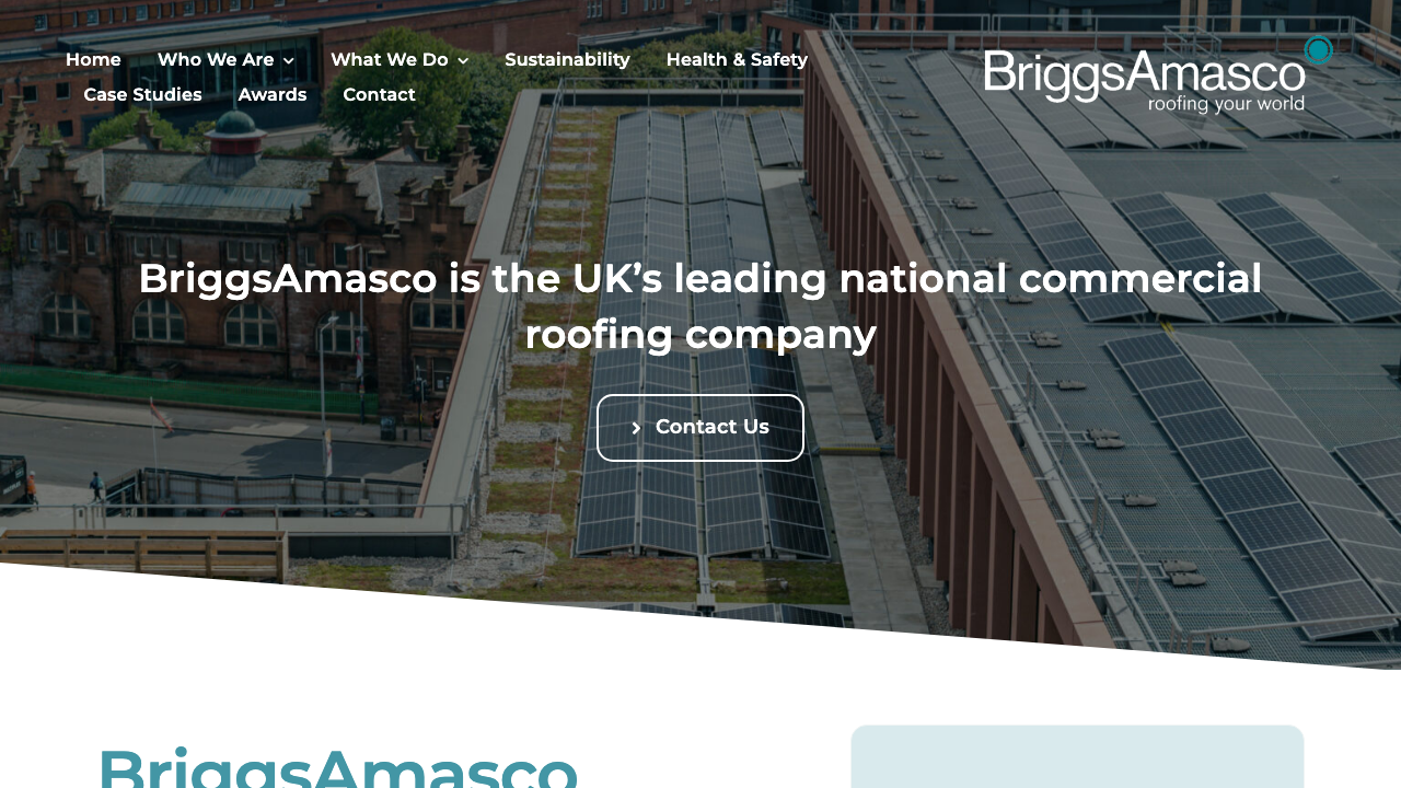 BRIGGS AMASCO LIMITED website preview