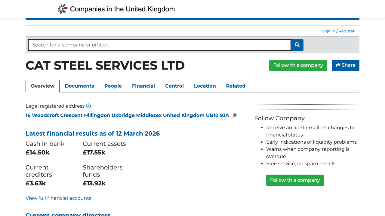 CAT STEEL SERVICES LTD website preview