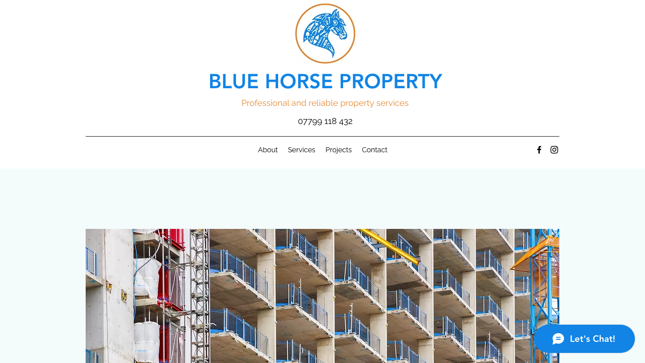 BLUE HORSE PROPERTY LTD website preview