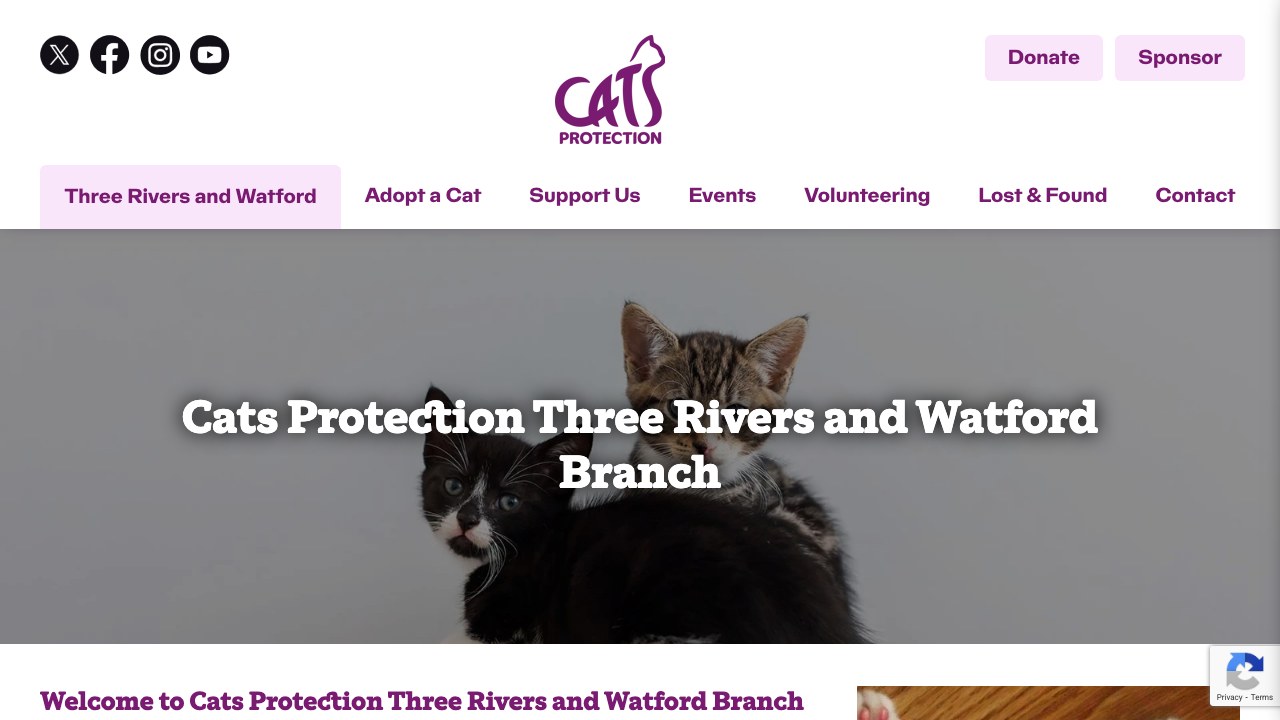 CAT CSB LTD website preview