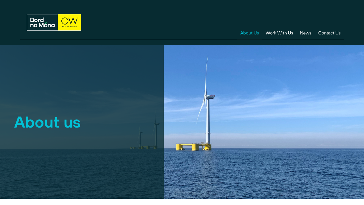 CELTIC HORIZON OFFSHORE WIND FARM LIMITED website preview