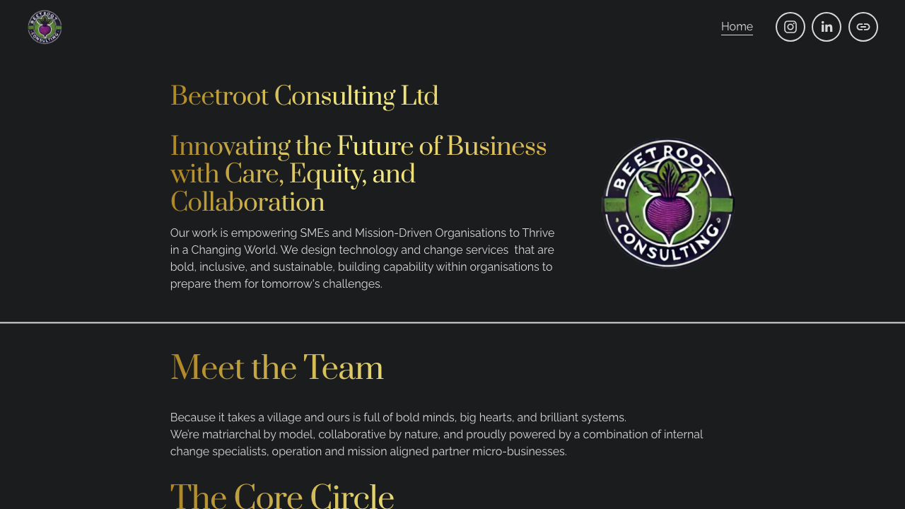 BEETROOT CONSULTING LTD website preview