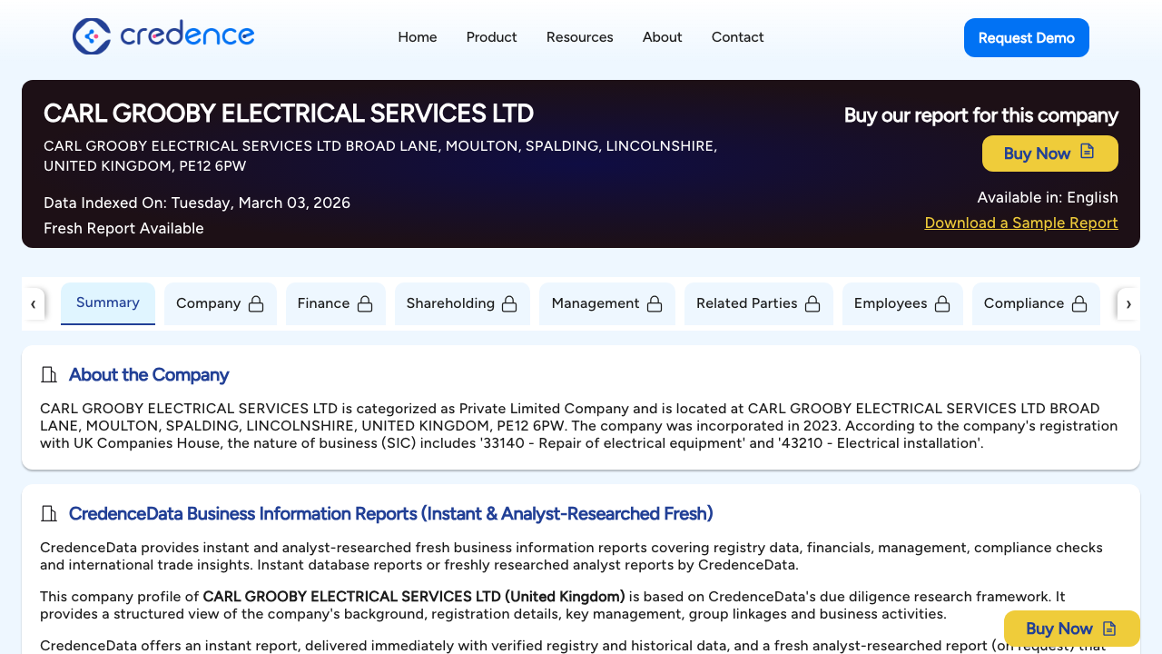 CARL GROOBY ELECTRICAL SERVICES LTD website preview