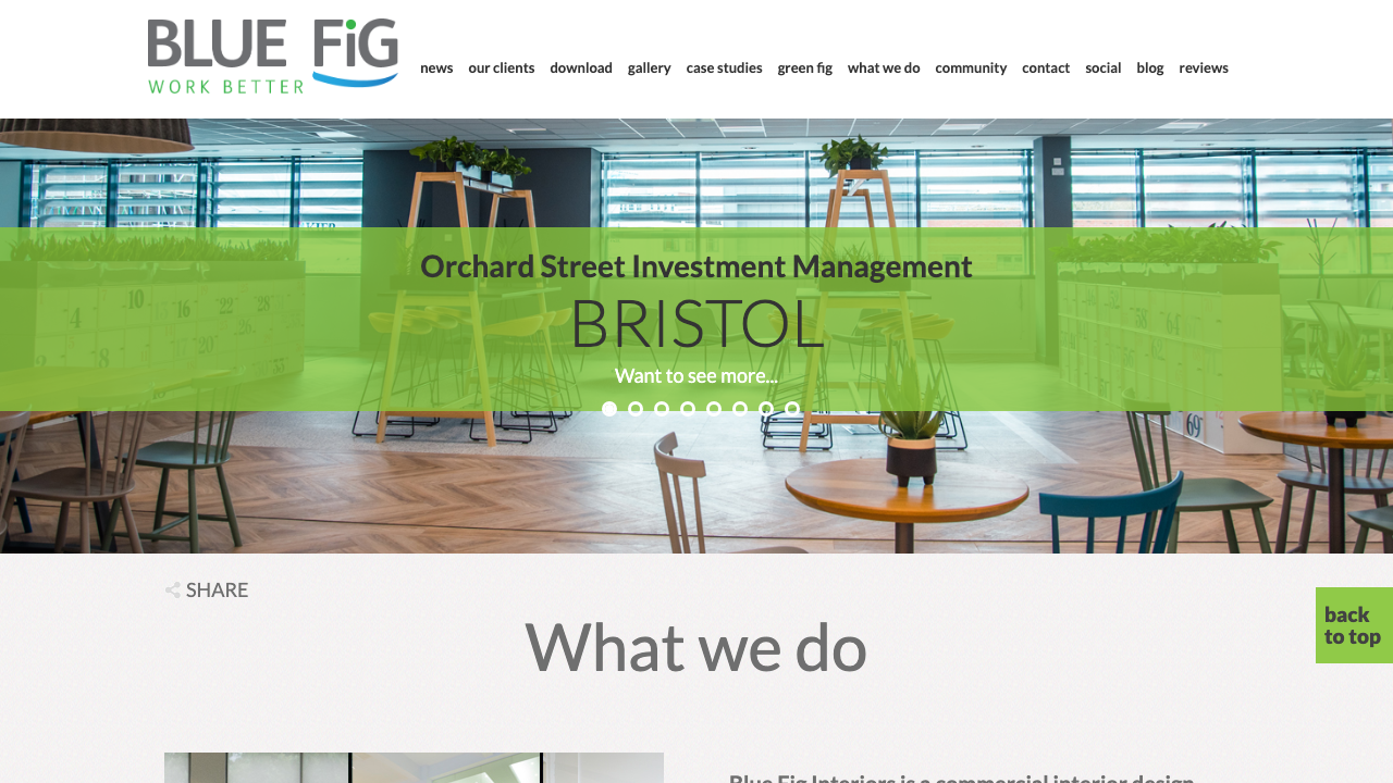 BLUE FRAME INTERIORS LTD website preview