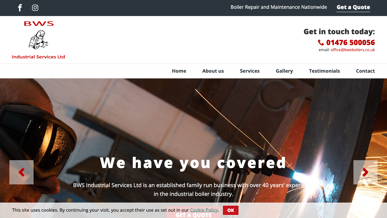 BWS INDUSTRIAL SERVICES LIMITED website preview