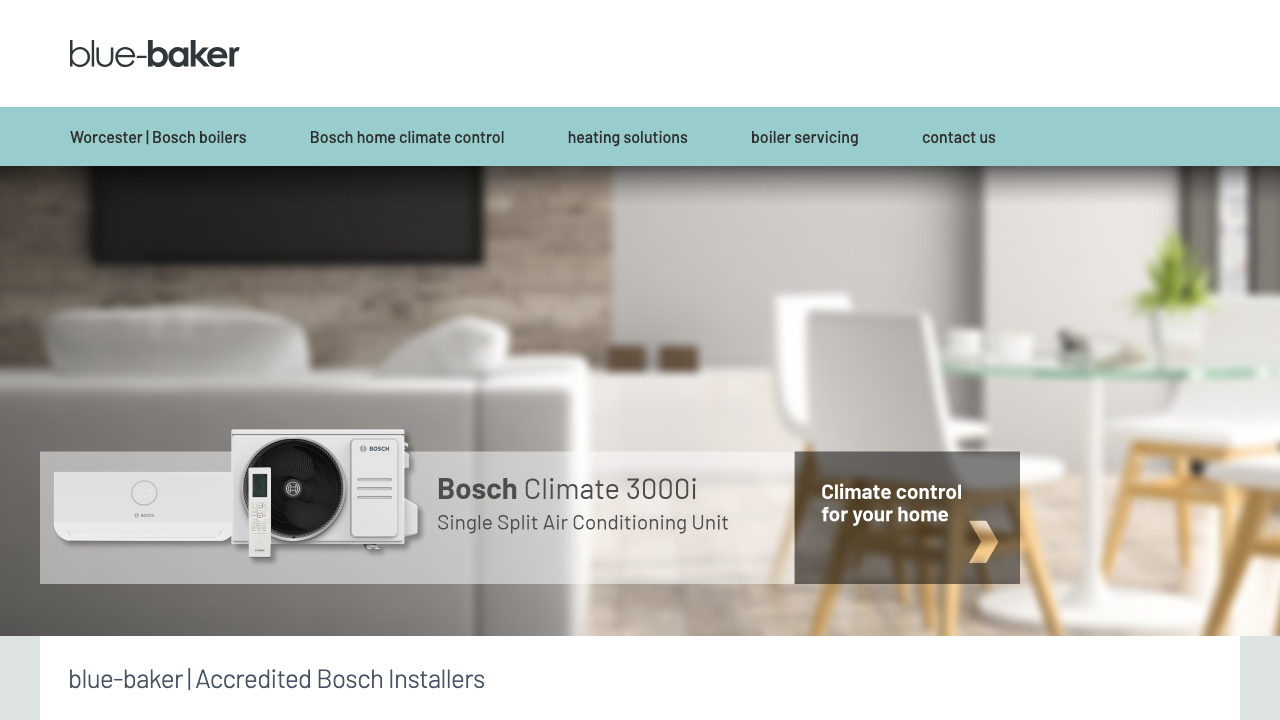 BLUE BAKER.COM LTD website preview