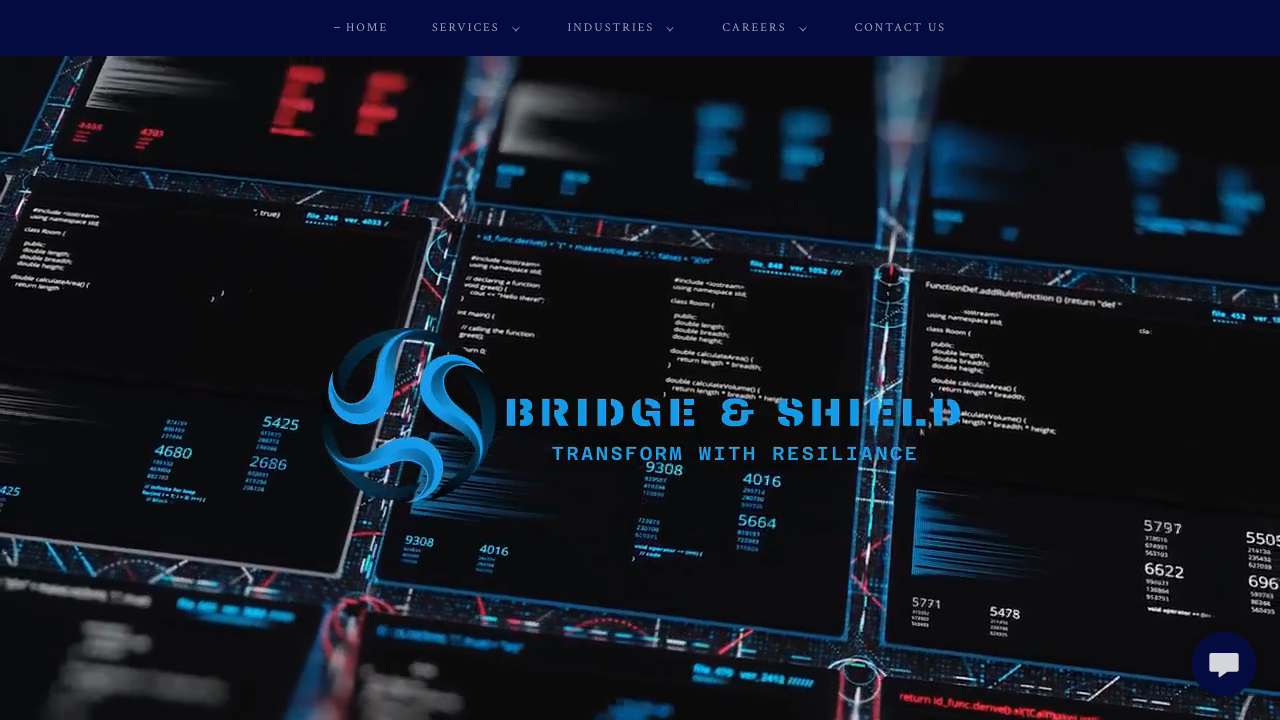BRIDGE AND SHIELD TECHNOLOGY LIMITED website preview