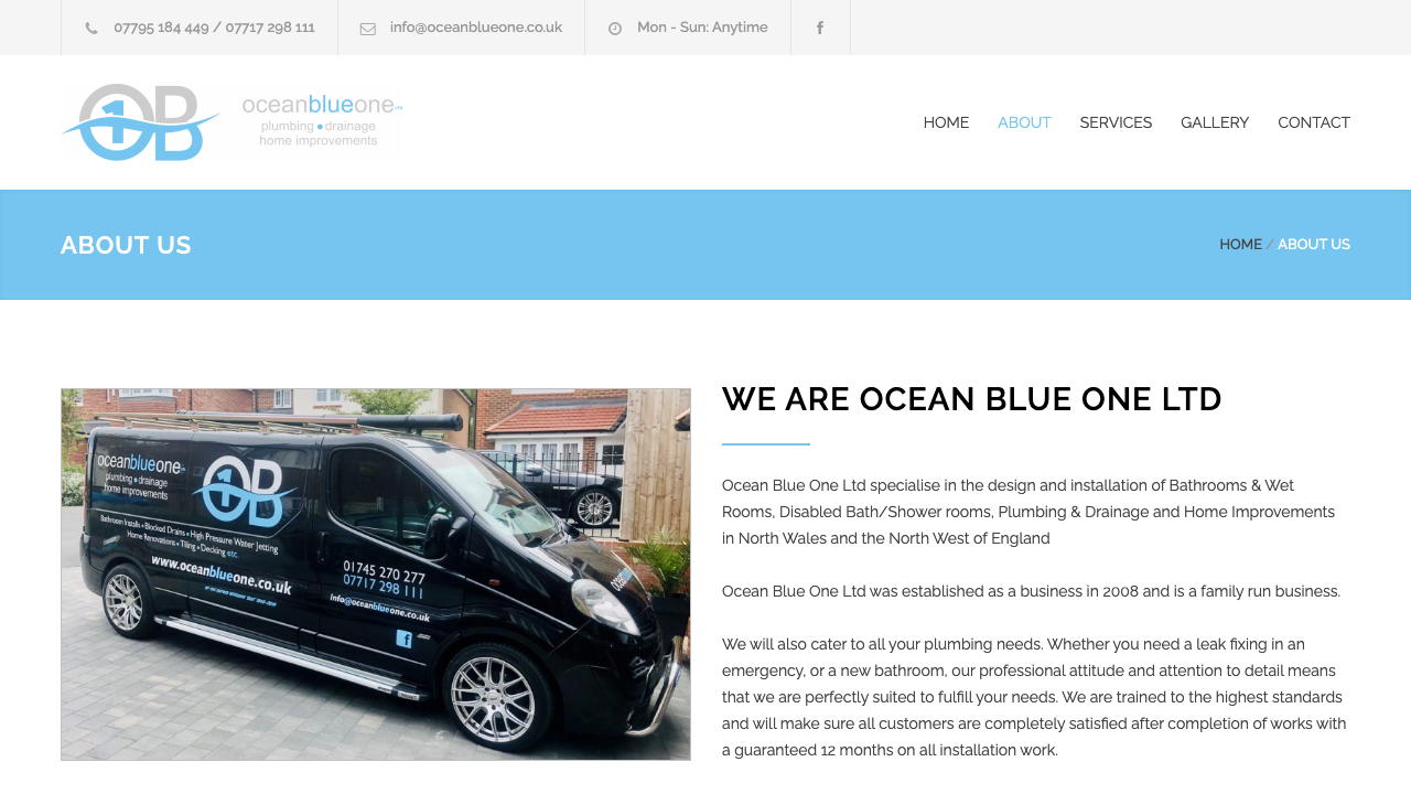 BLUE OCEAN PLUMBING AND BATHROOM LTD website preview