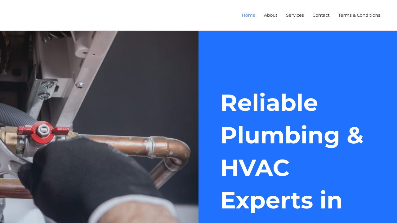 BLOXWICH PLUMBERS LTD website preview