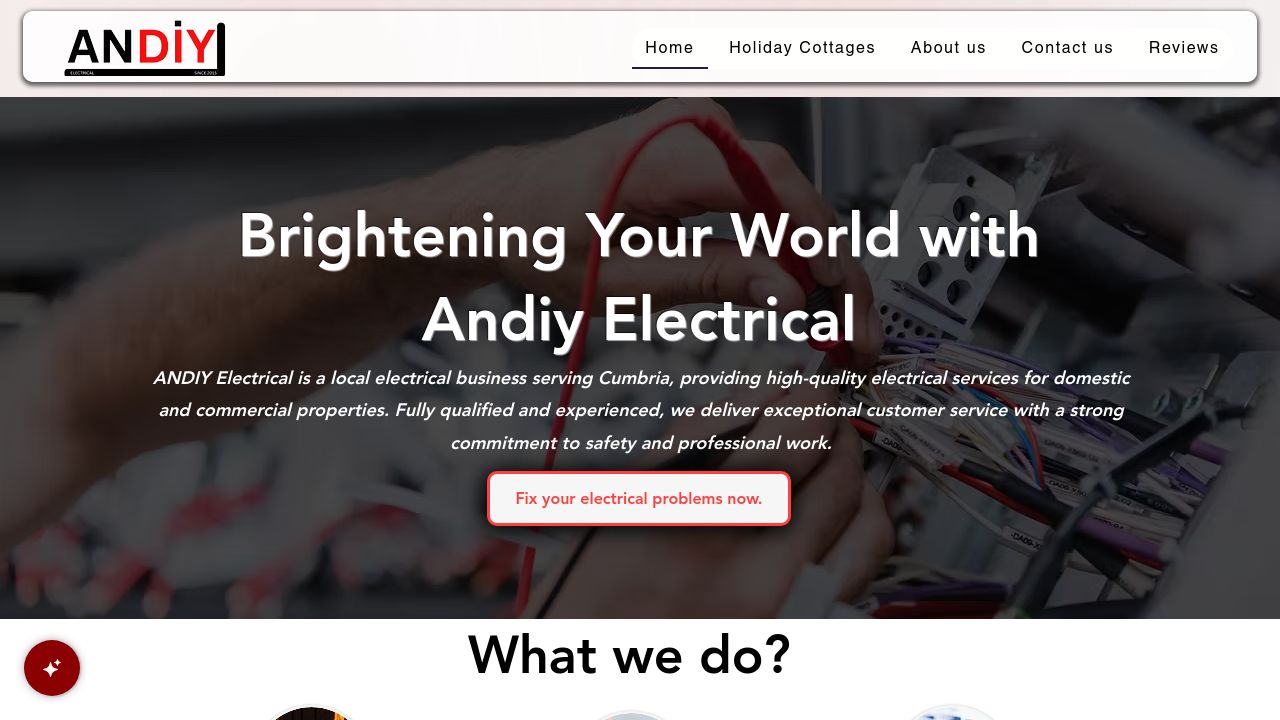 ANDIY LTD website preview