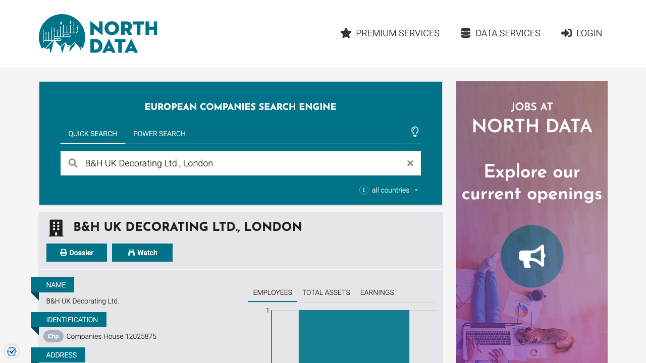 BORIS DECORATING LIMITED website preview