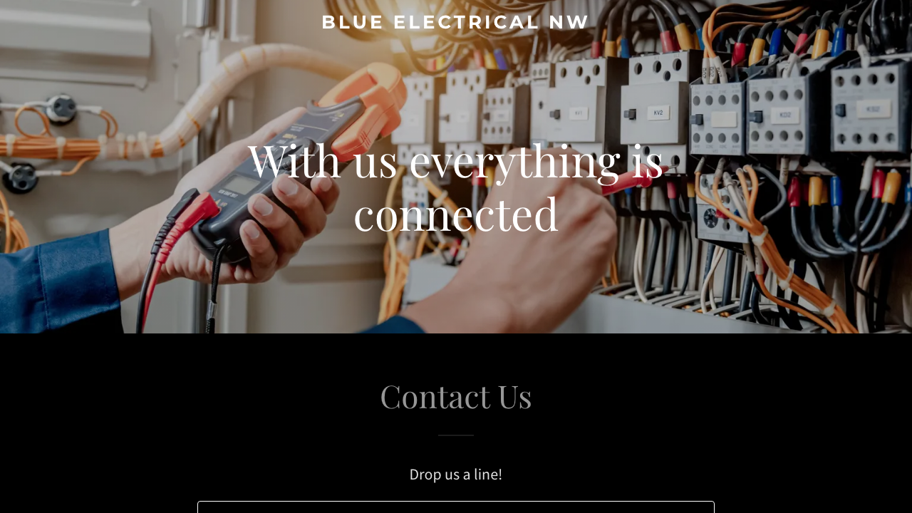 BLUE ELECTRICAL (NW) LTD website preview