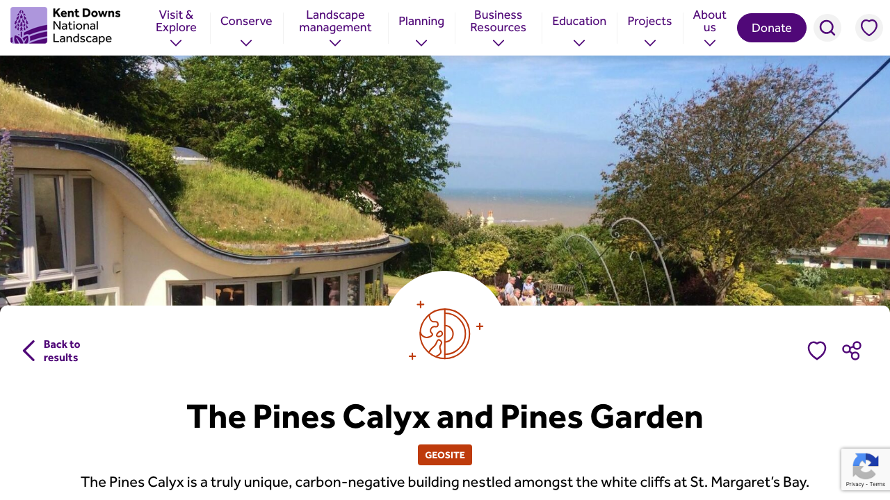 CALYX LTD website preview