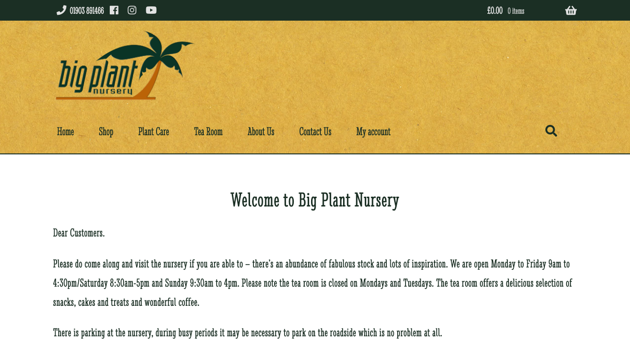 BIG PLANT NURSERY LIMITED website preview