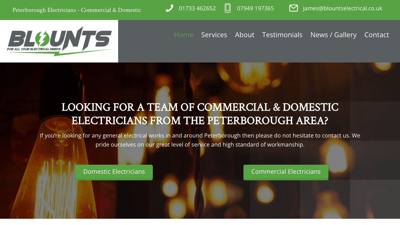 BLOUNTS ELECTRICAL SERVICES LIMITED website preview