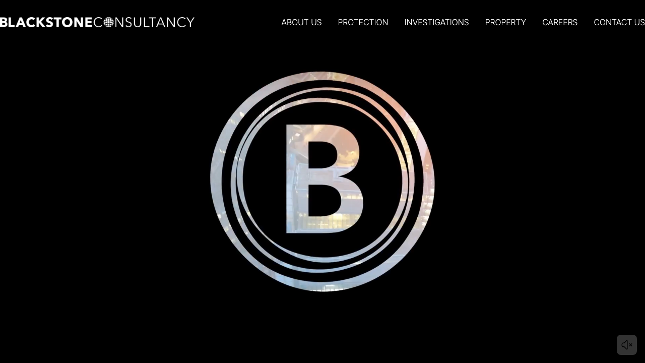 BLACKSTONE SECURITY LTD website preview