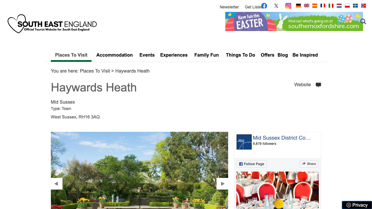 BASDOC LIMITED website preview