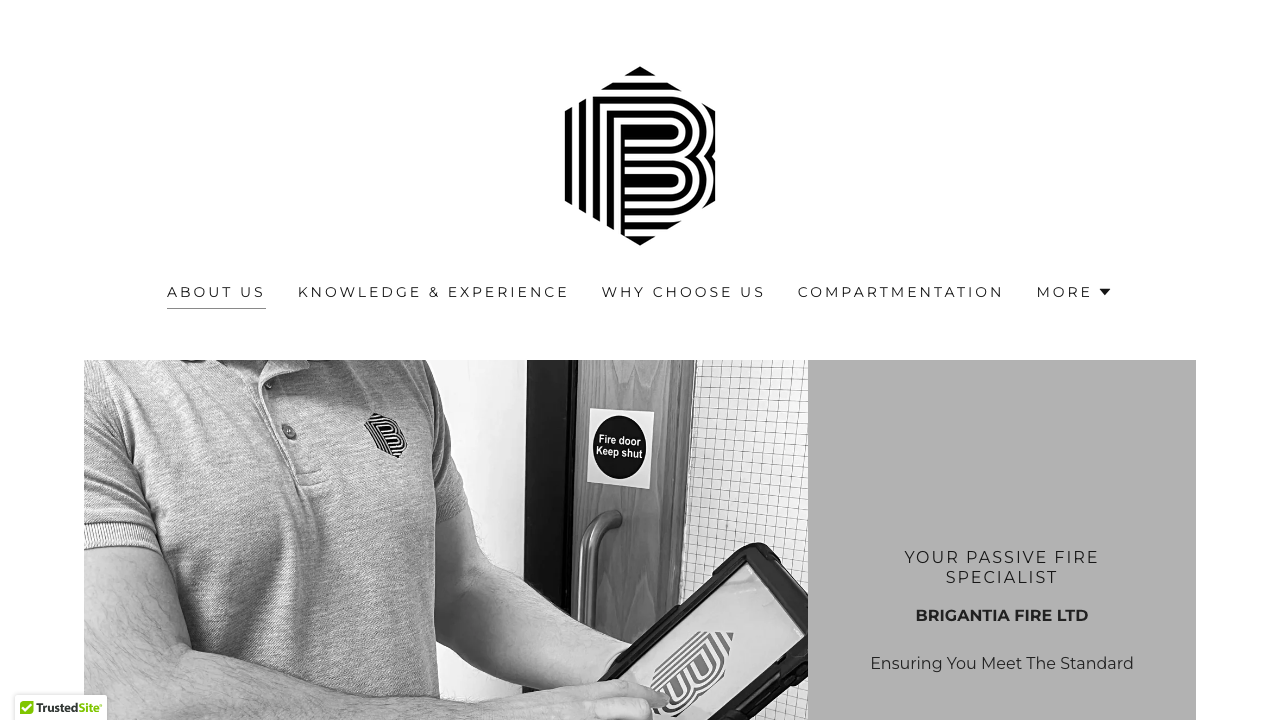 BRIGANTIA FIRE LTD website preview