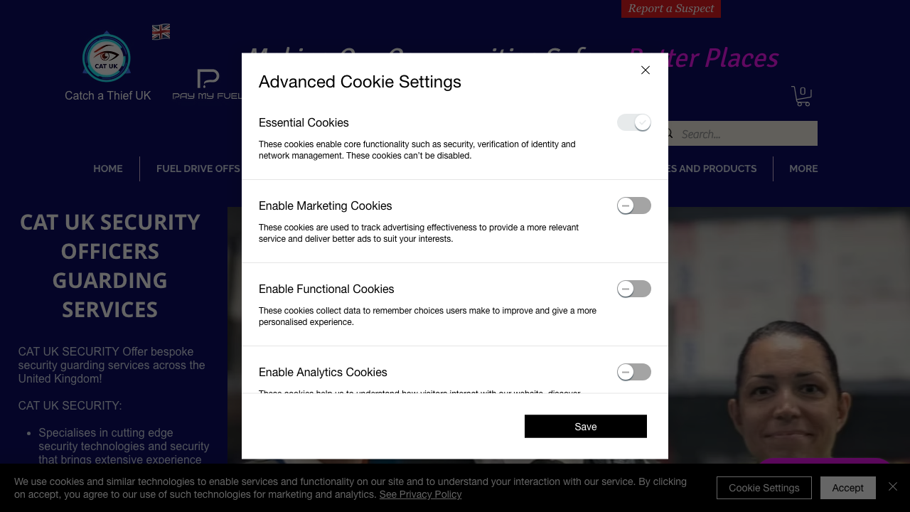 CATCH SECURITY LTD website preview