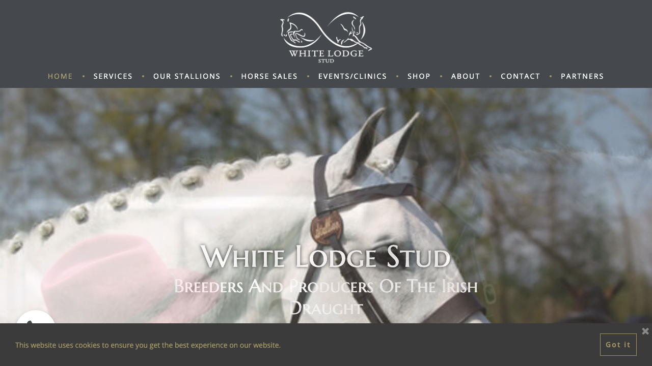 BEAU LODGE STUD LTD website preview