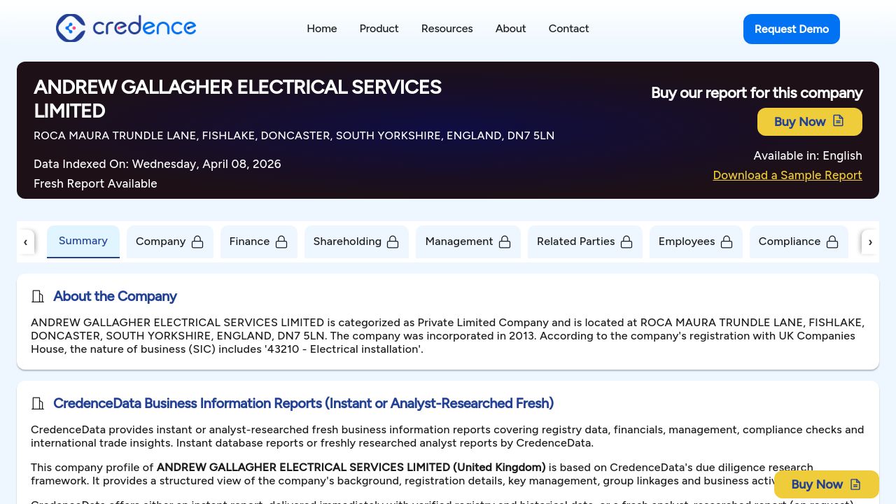 ANDREW GALLAGHER ELECTRICAL SERVICES LIMITED website preview