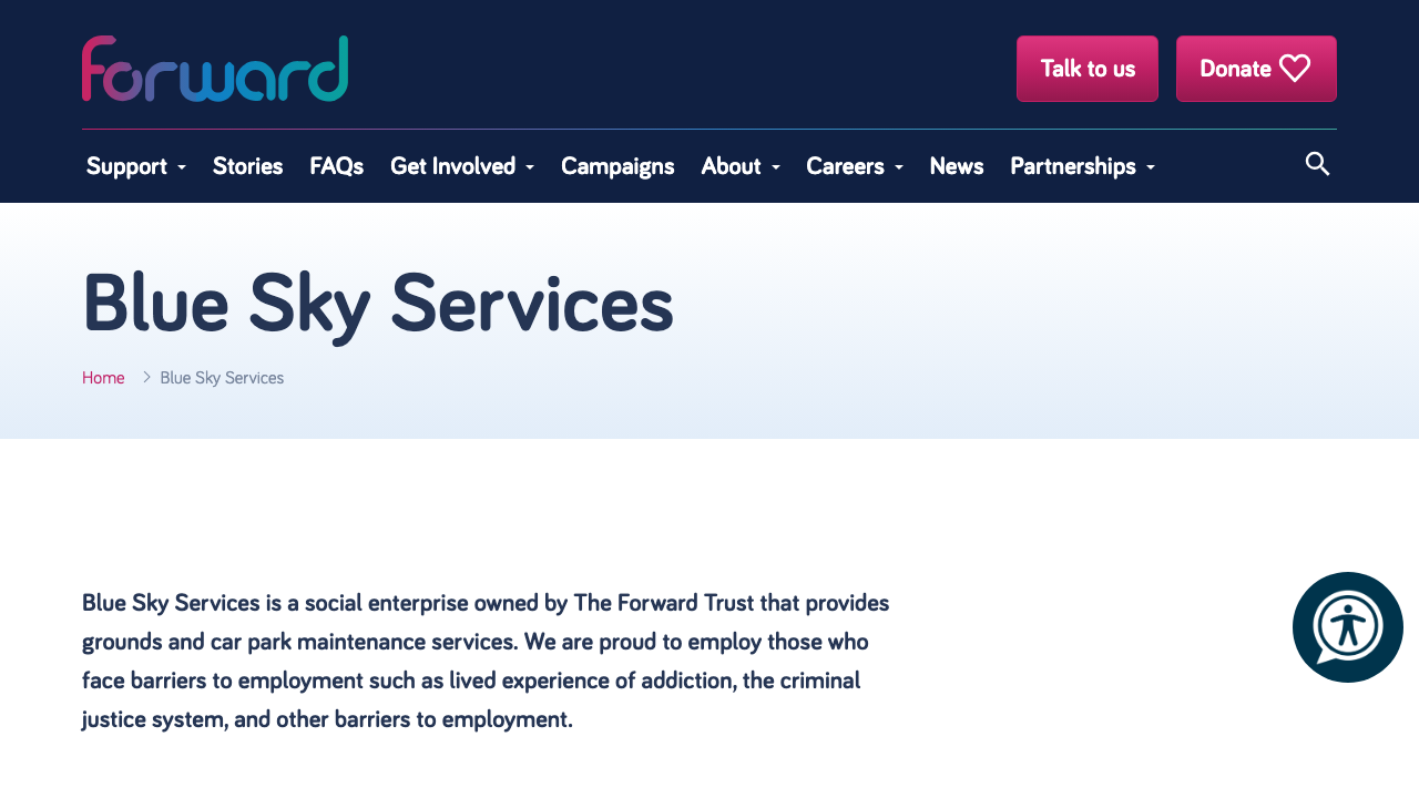 BLU SKY SERVICE LTD website preview