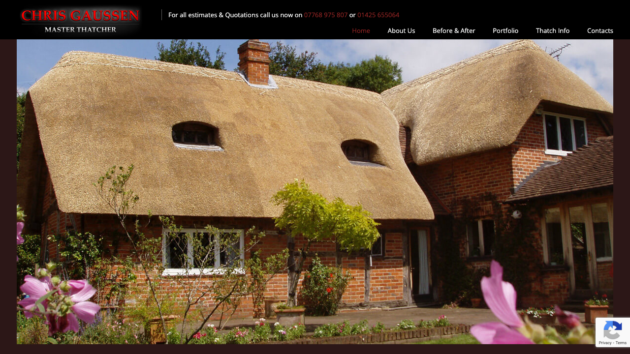 CHRIS GAUSSEN MASTER THATCHER LTD website preview