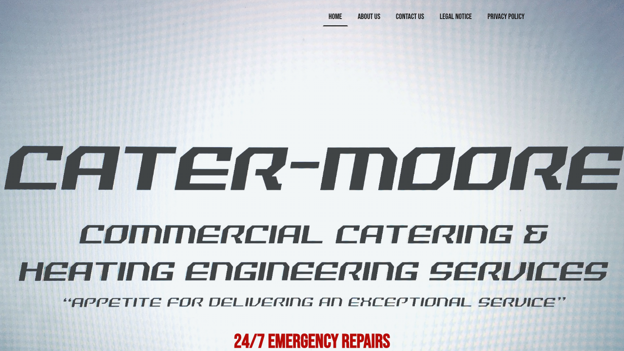 CATER-MOORE LTD website preview