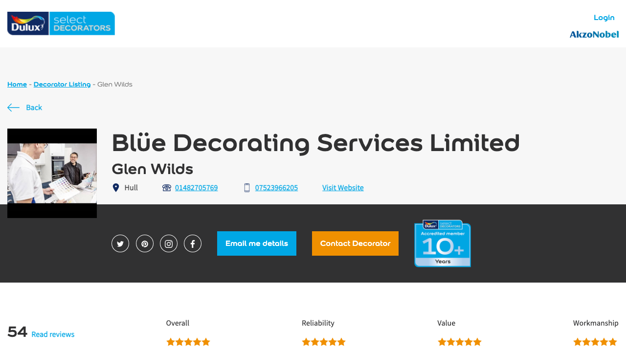 BLUE DECORATING SERVICES LIMITED website preview
