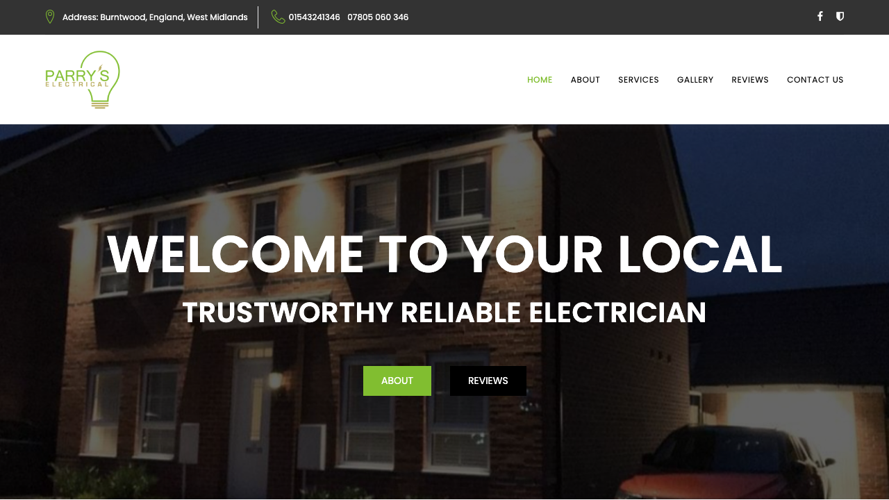 ELECTIC LTD website preview