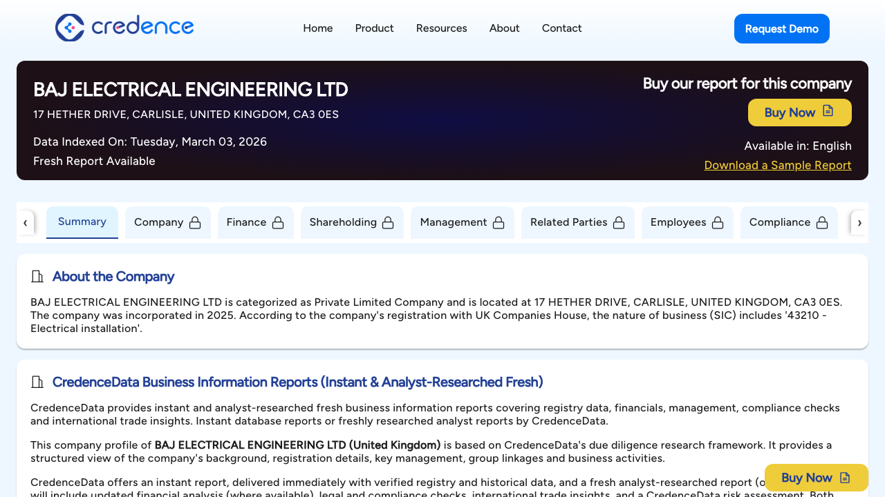 BAJ ELECTRICAL ENGINEERING LTD website preview
