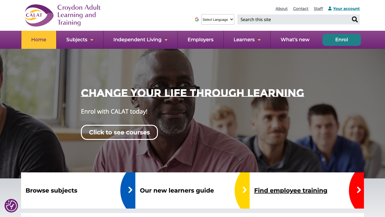 CALUT LTD website preview