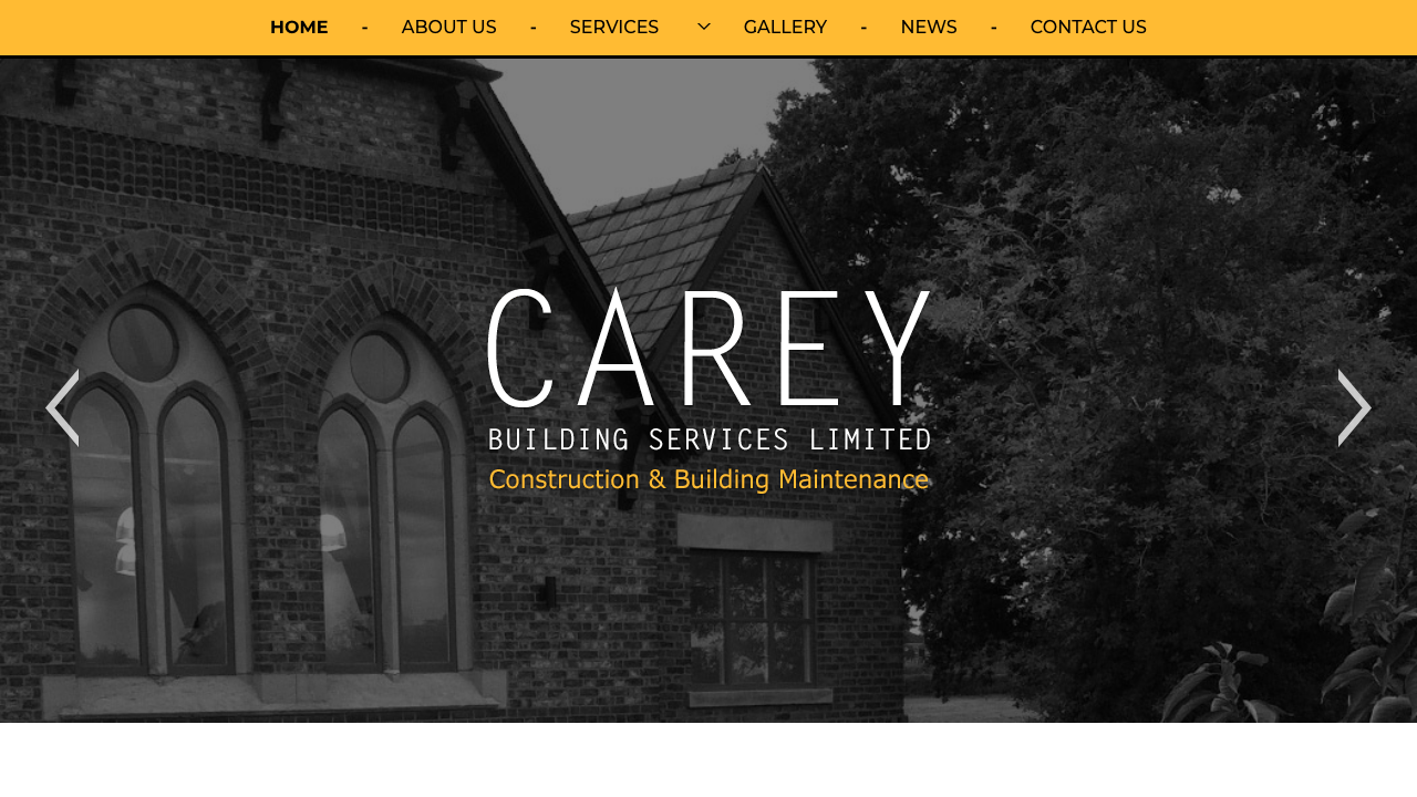 CAREY BUILDING SERVICES LIMITED website preview