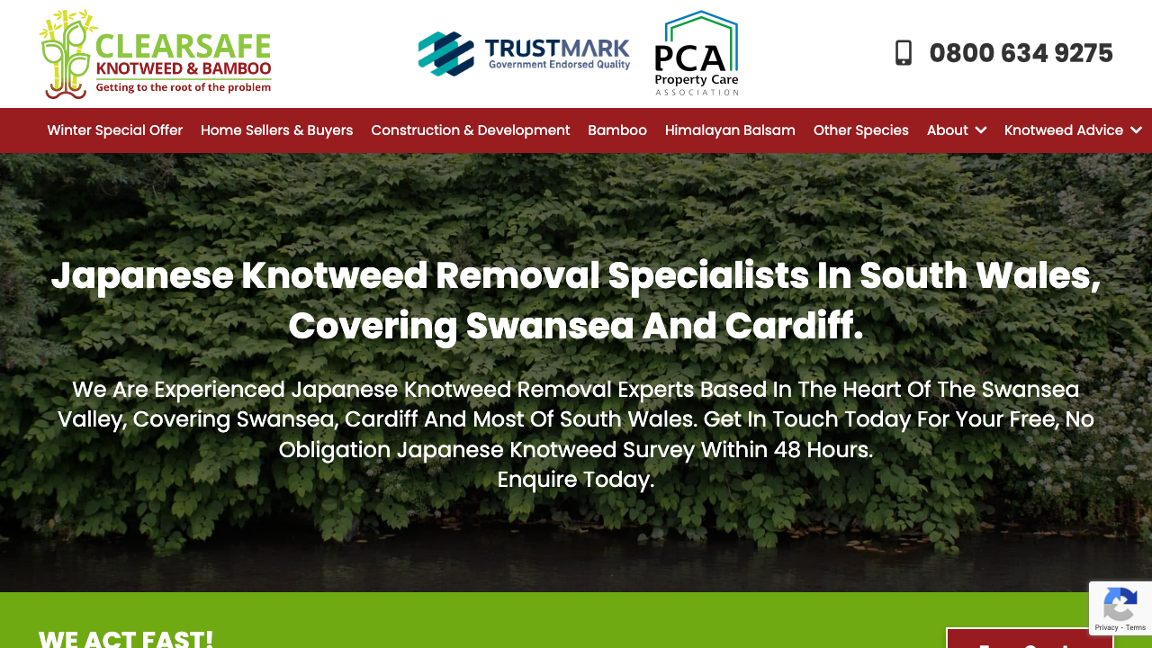 CLEARSAFE PARTNERS LIMITED website preview