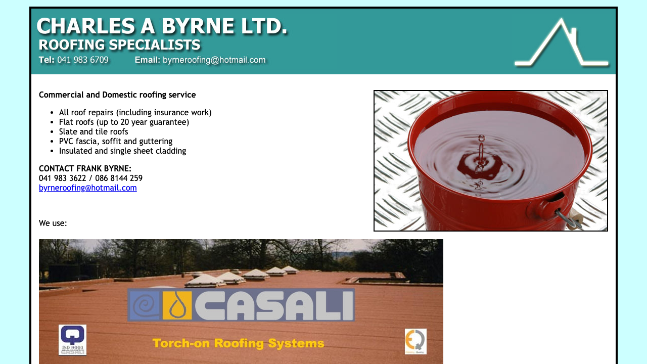 BYRNE ROOFING SERVICES LTD website preview