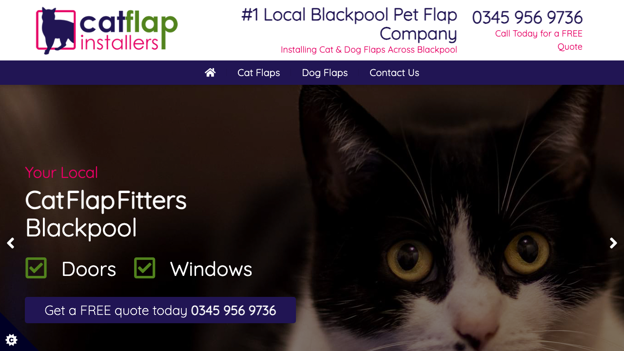 CAT FLAP INSTALLERS LIMITED website preview